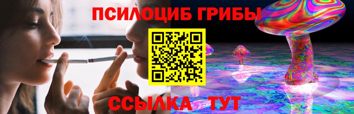 Псилоцибиновые грибы Psilocybine cubensis Кондопога